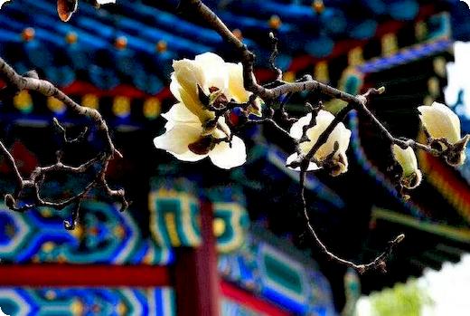 关于离婚后孩子的探视权法律