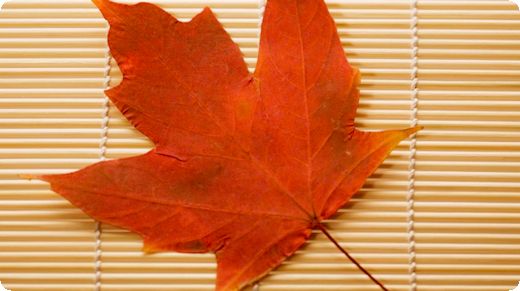 股权融资原始股东可以转让股权吗