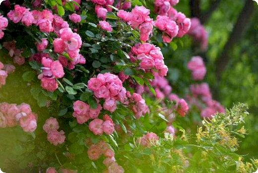 诉前财产保全没起诉有怎样的后果诉前财产保全不起诉有什么后果