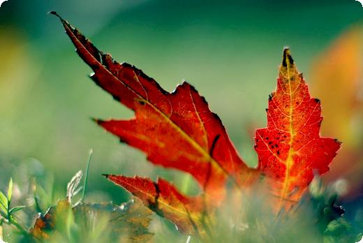 达到什么条件才能申购新股什么条件可以新股申购