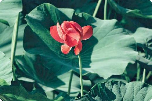 过失损坏电力设备罪的构成要件包括哪些