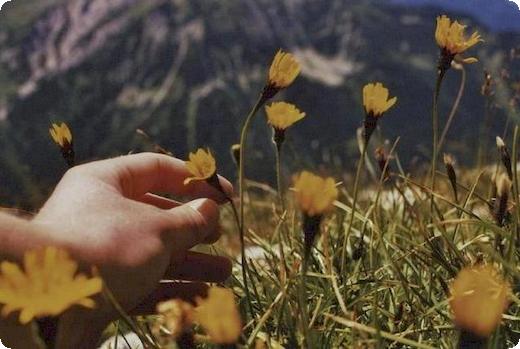 土地承包经营权可以转让么