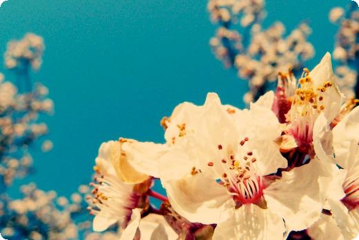 男方有精神疾不愿离婚怎么办男方有精神病不同意离婚怎么办