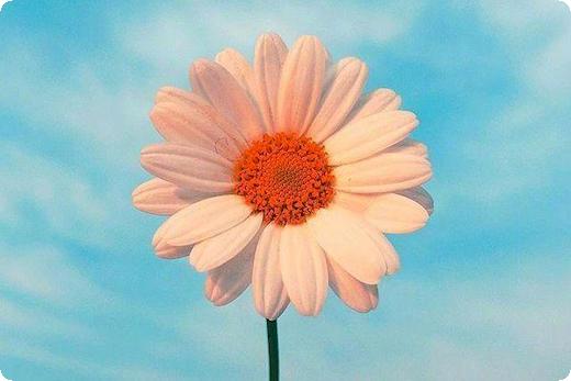 离婚过错方净身出户吗？离婚协议过错方净身出户