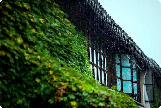 决水罪的犯罪构成特征有什么