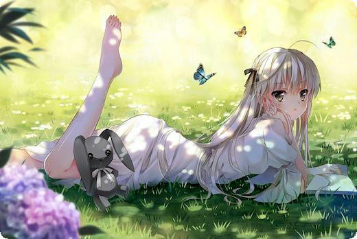 交强险无责任赔偿原则是什么