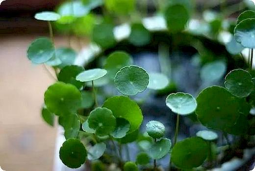 一般寻衅滋事怎么定性的？