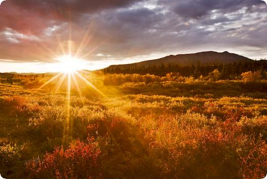 新刑法买卖国家机关公文罪怎么判